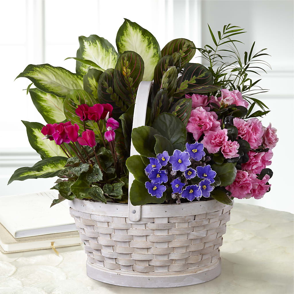 Peaceful Garden Planter – Normandy Flower Shop, Inc., Muncie IN