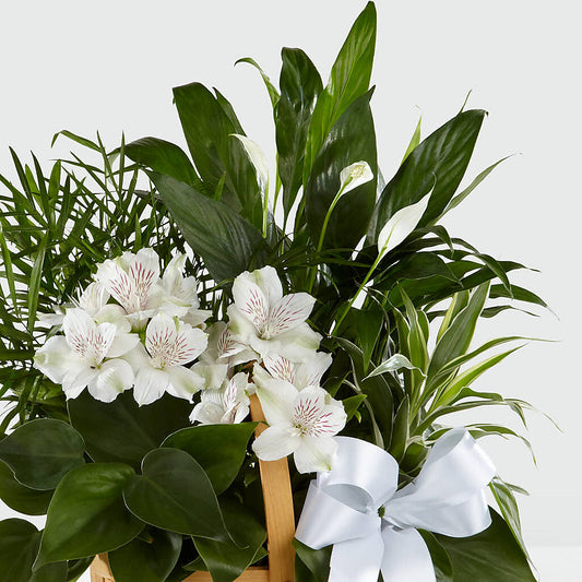 Peace & Serenity Dishgarden –  Normandy Flower Shop, Inc., Muncie IN