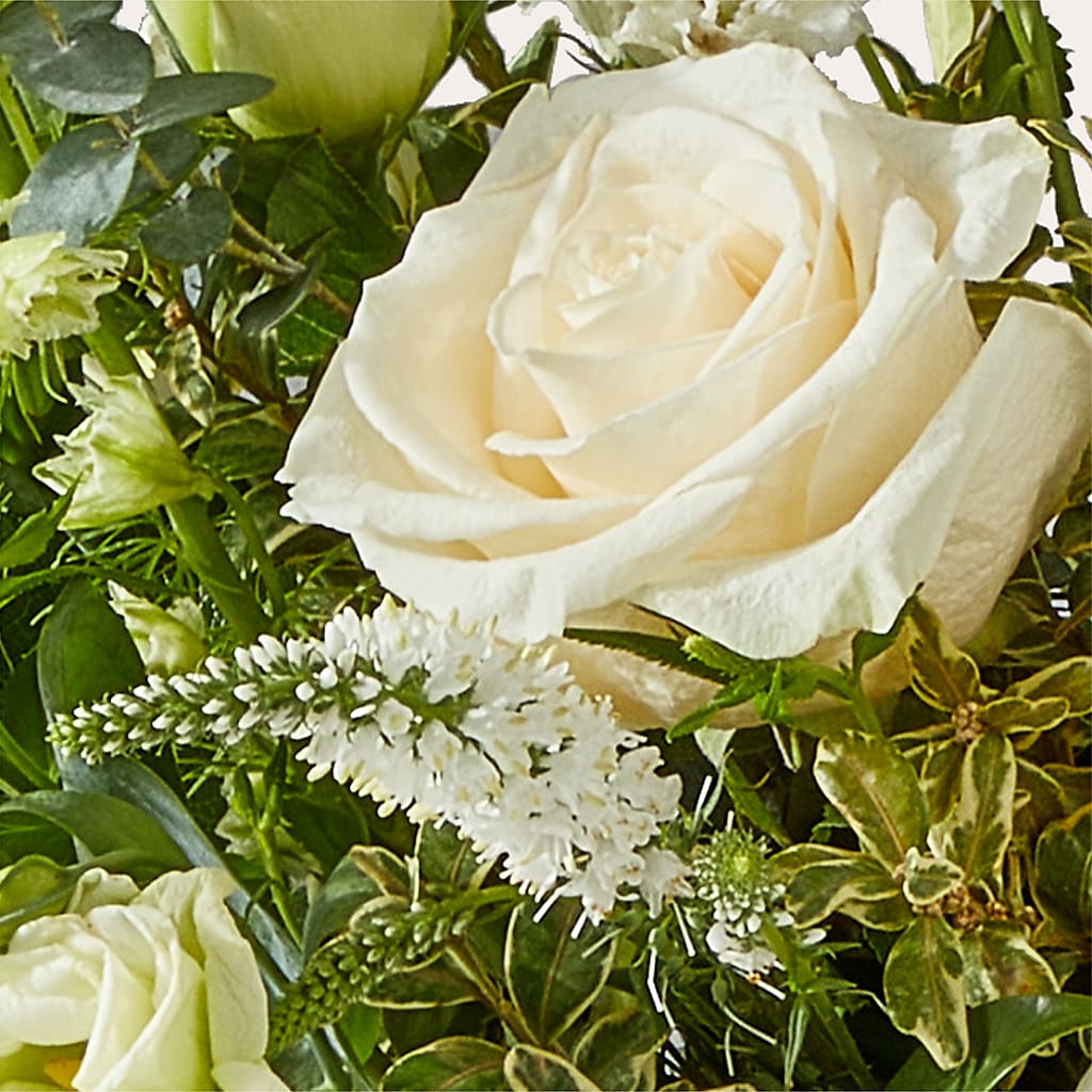 Cashmere Bouquet –  Normandy Flower Shop, Inc., Muncie IN