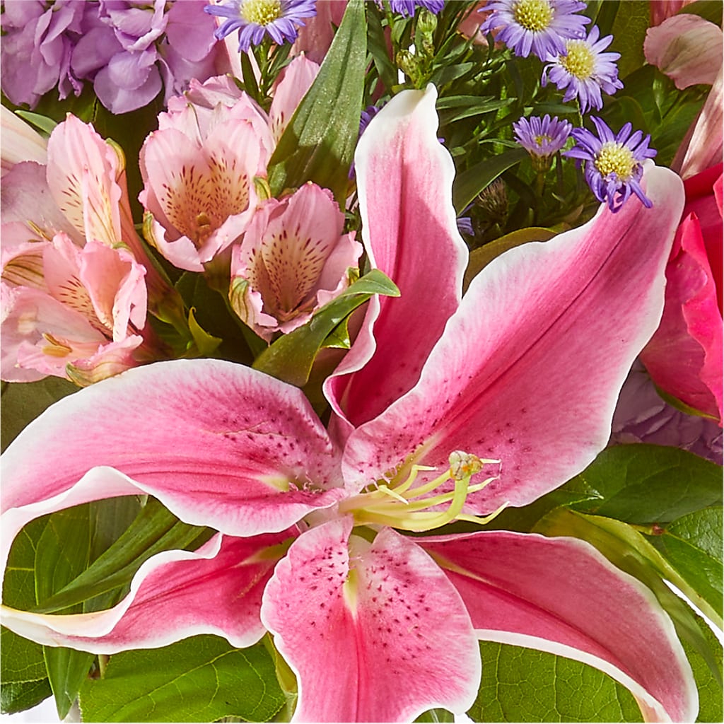 Written in the Stars Bouquet –  Normandy Flower Shop, Inc., Muncie IN