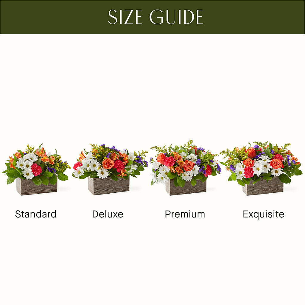 Oopsie Daisy Box Bouquet –  Normandy Flower Shop, Inc., Muncie IN