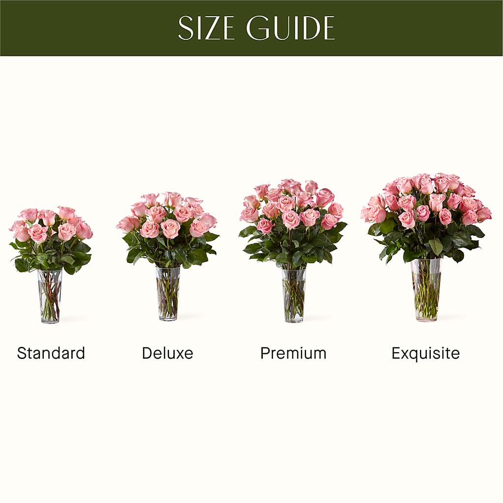Long Stem Pink Rose Bouquet –  Normandy Flower Shop, Inc., Muncie IN