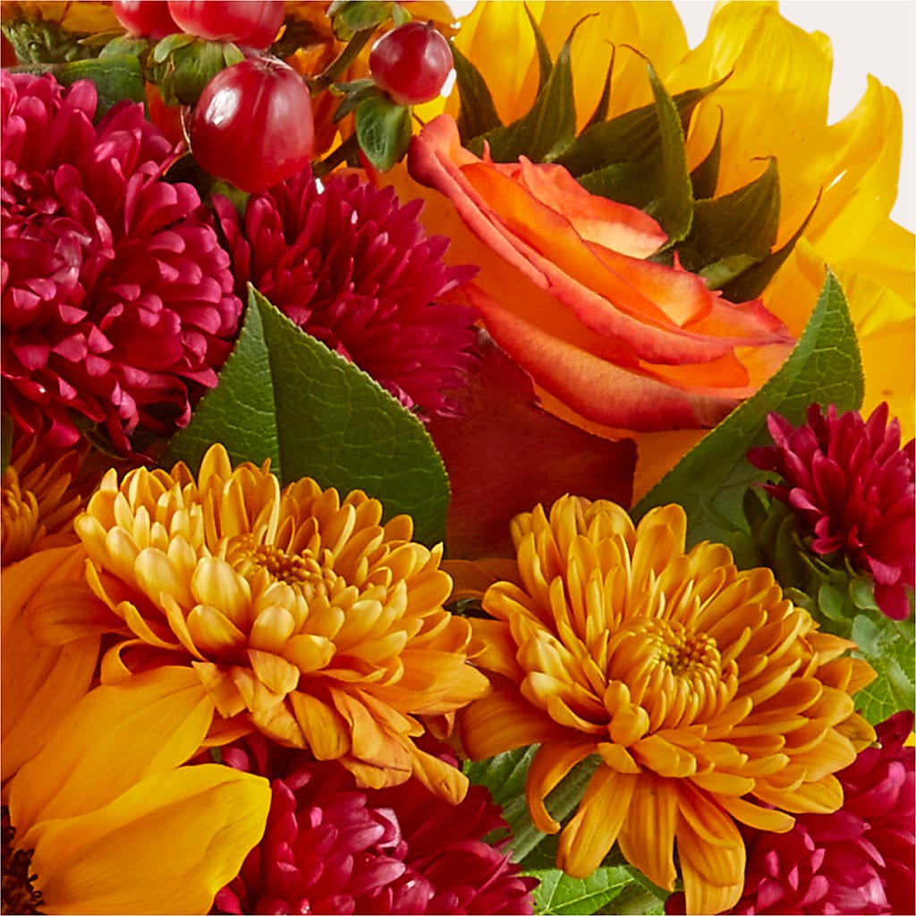 Sweater Season - A Florist Original –  Normandy Flower Shop, Inc., Muncie IN
