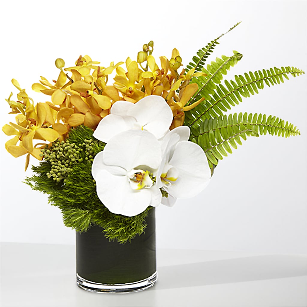 The Tropics –  Normandy Flower Shop, Inc., Muncie IN