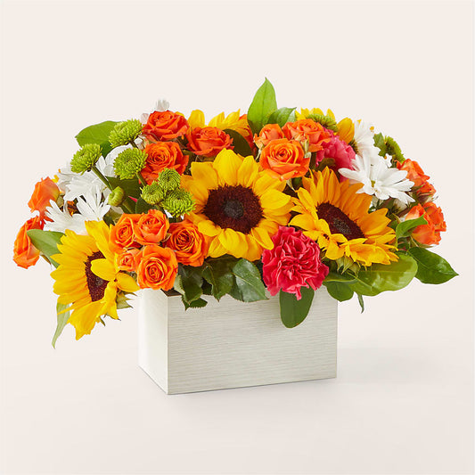 Sun-drenched Blooms Box Bouquet –  Normandy Flower Shop, Inc., Muncie IN