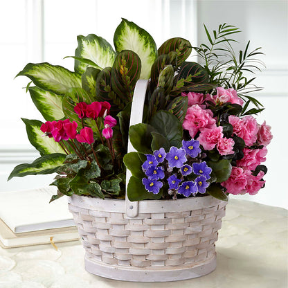 Peaceful Garden Planter –  Normandy Flower Shop, Inc., Muncie IN