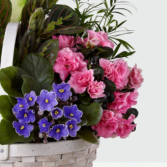 Peaceful Garden Planter –  Normandy Flower Shop, Inc., Muncie IN