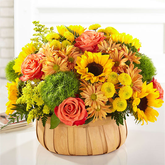 Harvest Sunflower Basket –  Normandy Flower Shop, Inc., Muncie IN