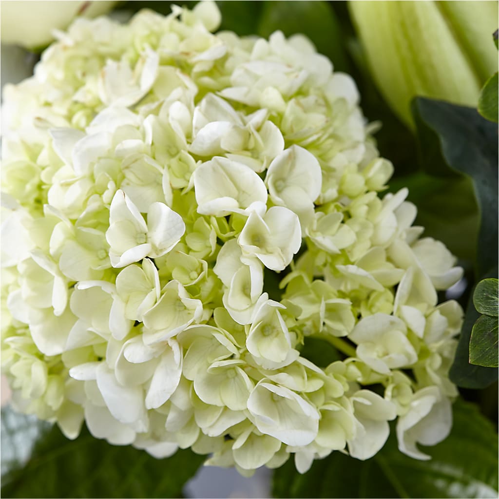 Classic Ivory – A Florist Original –  Normandy Flower Shop, Inc., Muncie IN