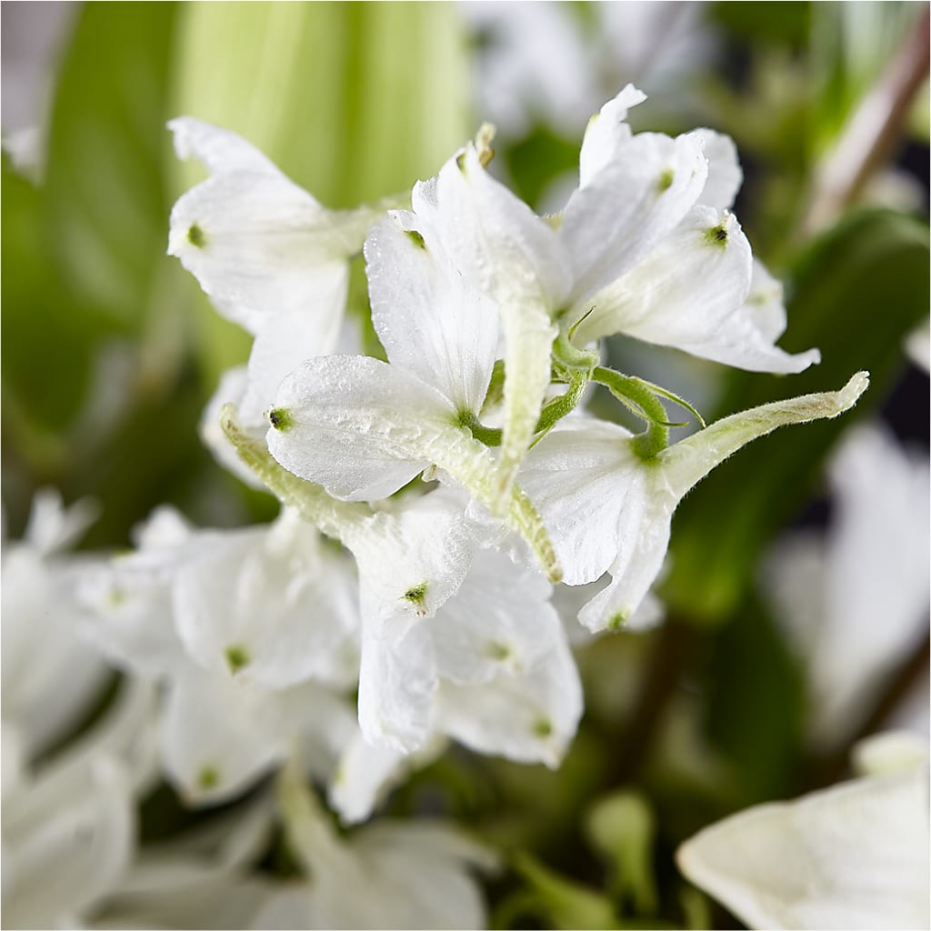 Classic Ivory – A Florist Original –  Normandy Flower Shop, Inc., Muncie IN