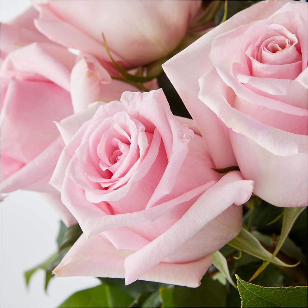 Picture Perfect Pink Rose Bouquet –  Normandy Flower Shop, Inc., Muncie IN