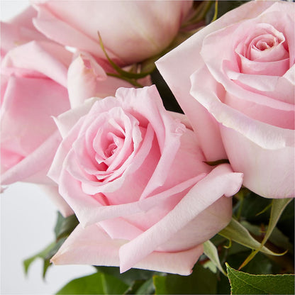 Picture Perfect Pink Rose Bouquet –  Normandy Flower Shop, Inc., Muncie IN