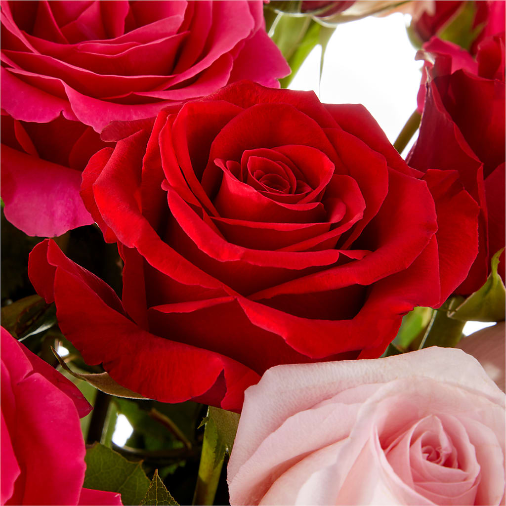 Love Notes Rose Bouquet –  Normandy Flower Shop, Inc., Muncie IN