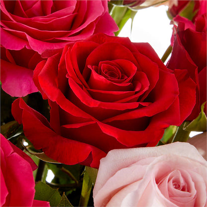 Love Notes Rose Bouquet –  Normandy Flower Shop, Inc., Muncie IN