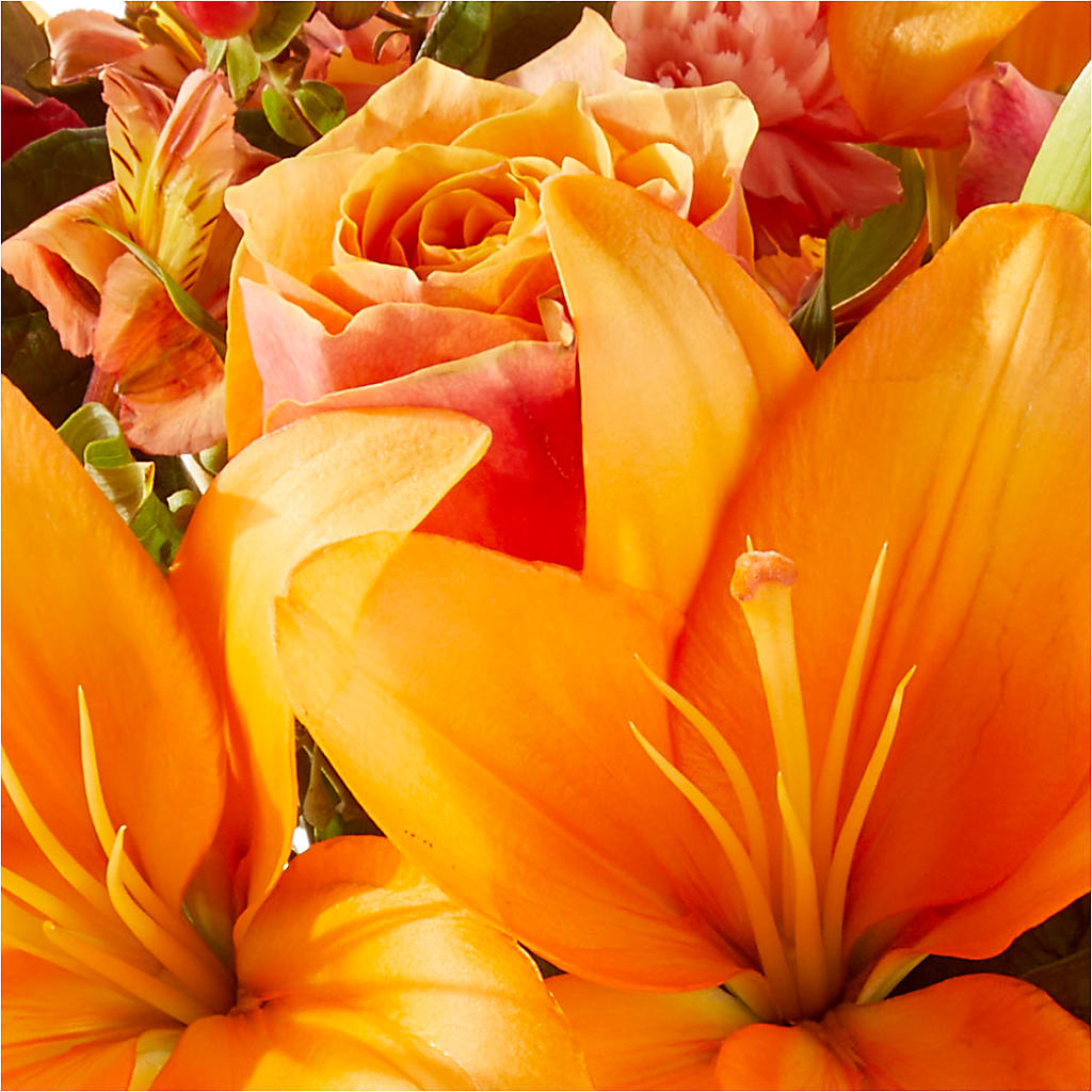 Afternoon Light Bouquet –  Normandy Flower Shop, Inc., Muncie IN