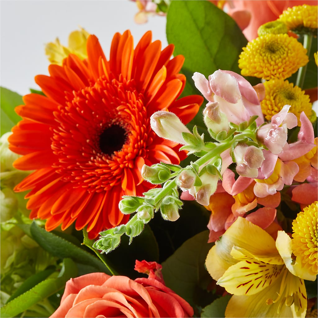 Autumn Sunshine Bouquet –  Normandy Flower Shop, Inc., Muncie IN