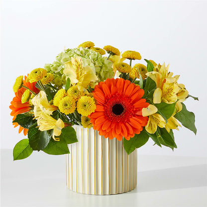 Autumn Sunshine Bouquet with Ivory Vase –  Normandy Flower Shop, Inc., Muncie IN