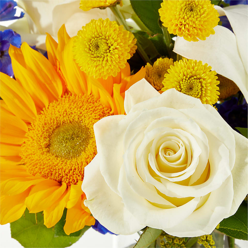 Stargazing Bouquet –  Normandy Flower Shop, Inc., Muncie IN