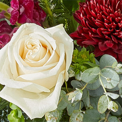 Cranberry Fizz Bouquet –  Normandy Flower Shop, Inc., Muncie IN