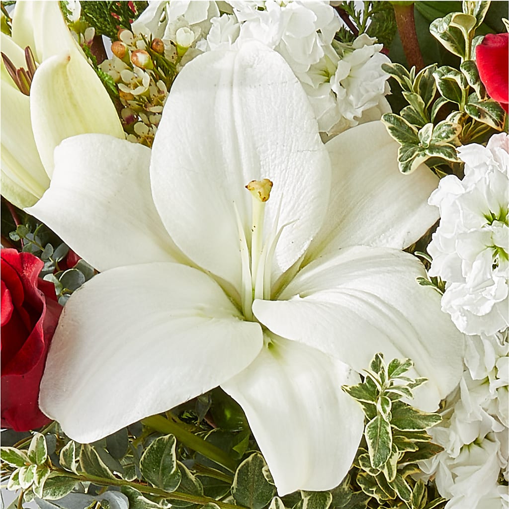 Twinkle Lights Bouquet –  Normandy Flower Shop, Inc., Muncie IN