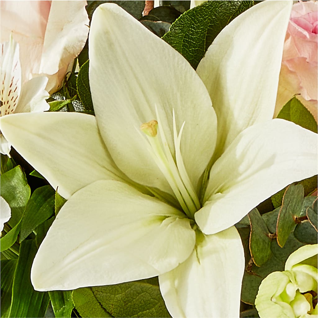 Ballet Slippers Bouquet –  Normandy Flower Shop, Inc., Muncie IN