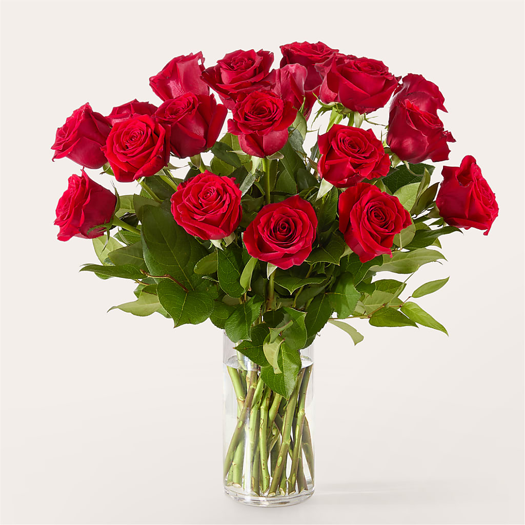 The One Red Rose Bouquet –  Normandy Flower Shop, Inc., Muncie IN