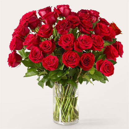 The One Red Rose Bouquet –  Normandy Flower Shop, Inc., Muncie IN
